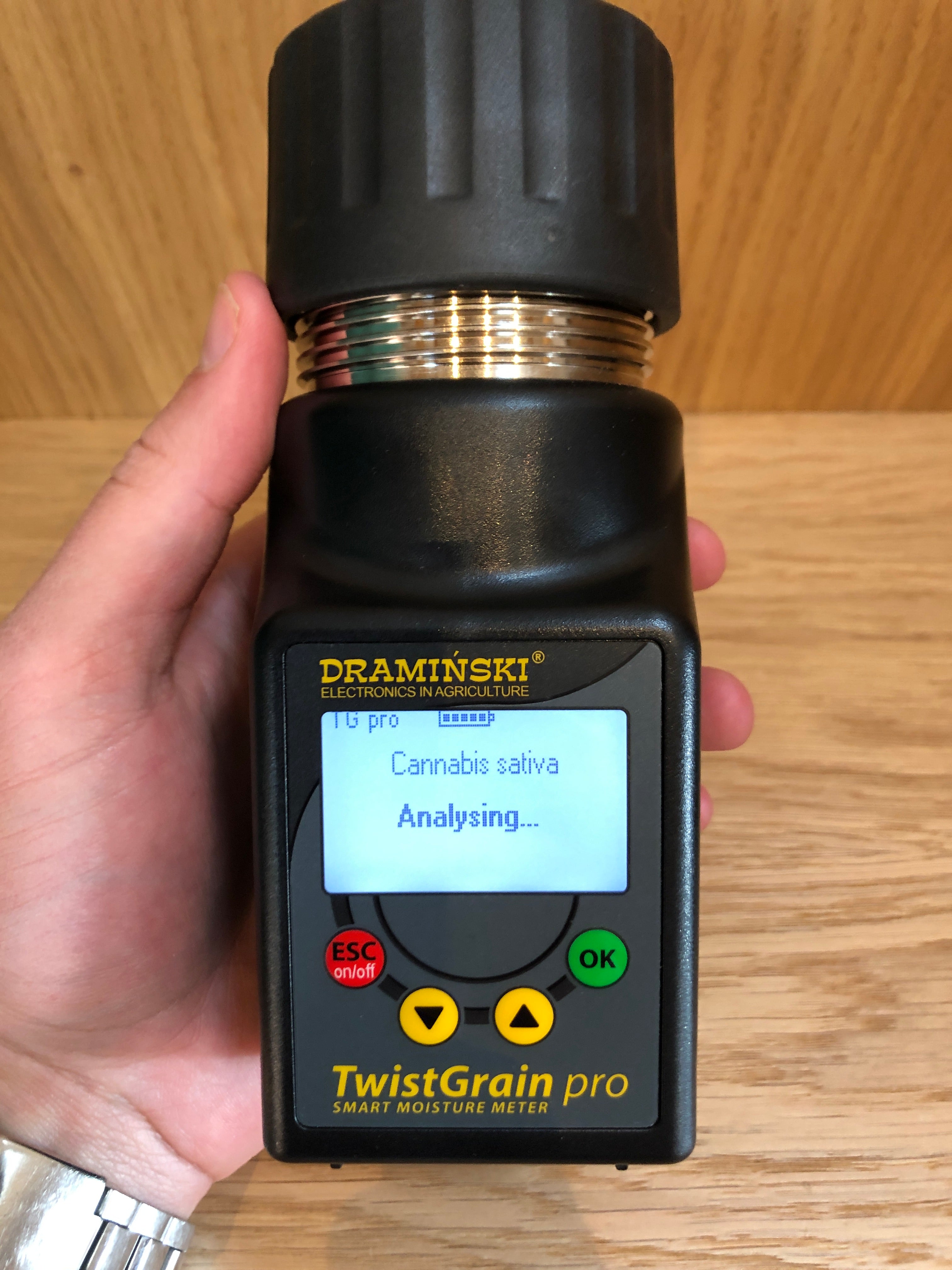 DRAMINSKI moisture meter Analysing hemp seed